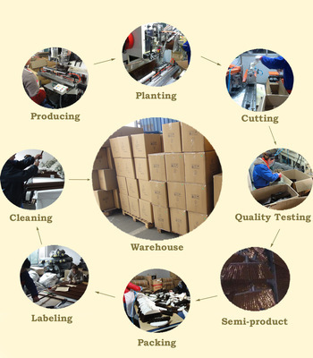 【塑料掃把 供應掃帚頭 廠家直銷 價格優(yōu)惠 外貿(mào)原單】價格,廠家,圖片,掃帚畚箕套裝,張家港英瑞實業(yè)-